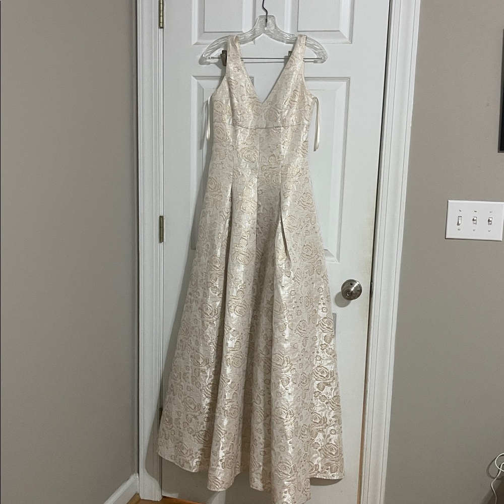 NWOT BHLDN Hitherto Lincoln Dress V-Neck Pleated Ball Gown With Pockets Size 4